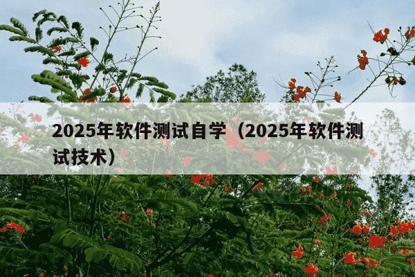 2025年软件测试自学（2025年软件测试技术）