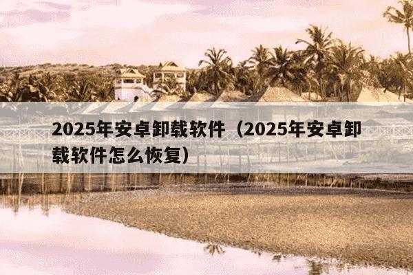 2025年安卓卸载软件(2025年安卓卸载软件怎么恢复)