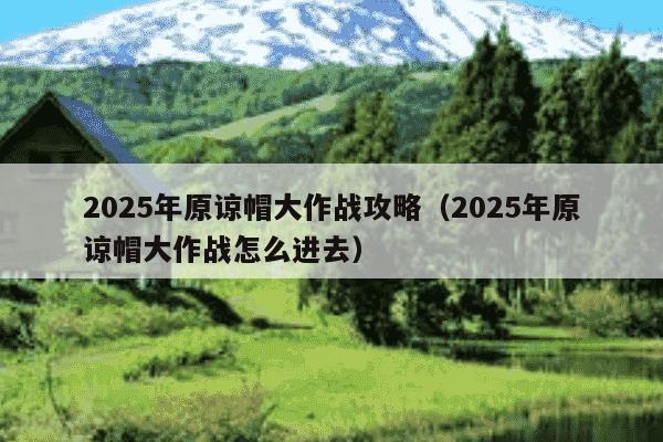 2025年原谅帽大作战攻略(2025年原谅帽大作战怎么进去)