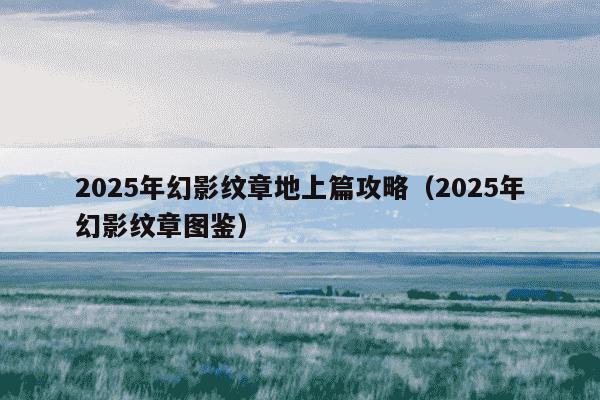 2025年幻影纹章地上篇攻略（2025年幻影纹章图鉴）