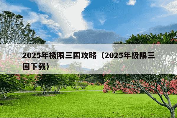 2025年极限三国攻略（2025年极限三国下载）