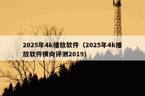2025年4k播放软件（2025年4k播放软件横向评测2019）