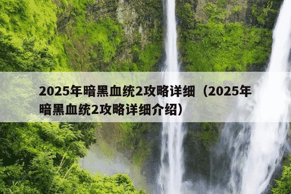 2025年暗黑血统2攻略详细(2025年暗黑血统2攻略详细介绍)