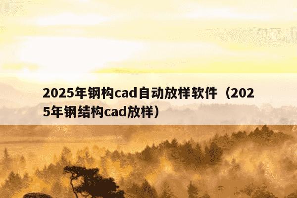 2025年钢构cad自动放样软件(2025年钢结构cad放样)