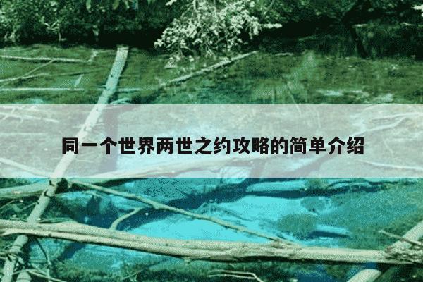 同一个世界两世之约攻略的简单介绍