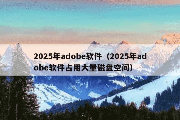 2025年adobe软件（2025年adobe软件占用大量磁盘空间）