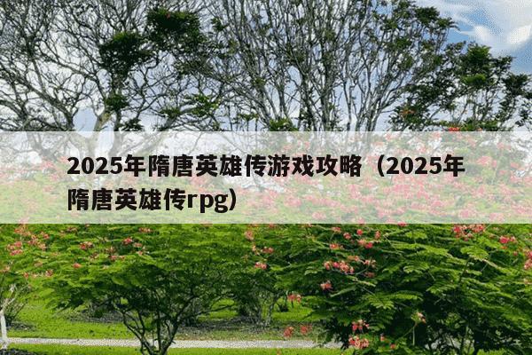 2025年隋唐英雄传游戏攻略(2025年隋唐英雄传rpg)