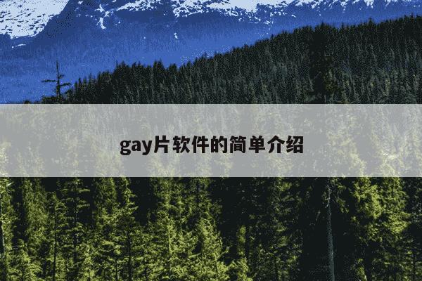 gay片软件的简单介绍