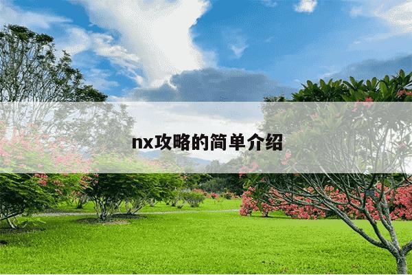 nx攻略的简单介绍