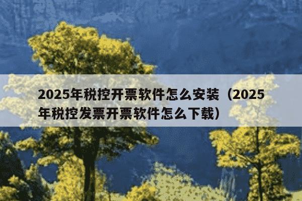 2025年税控开票软件怎么安装（2025年税控发票开票软件怎么下载）