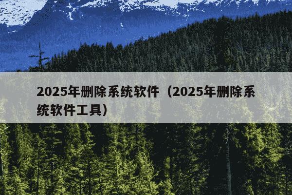 2025年删除系统软件(2025年删除系统软件工具)