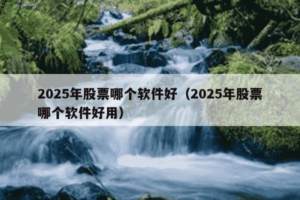 2025年股票哪个软件好(2025年股票哪个软件好用)