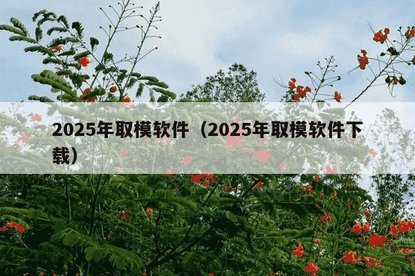 2025年取模软件（2025年取模软件下载）
