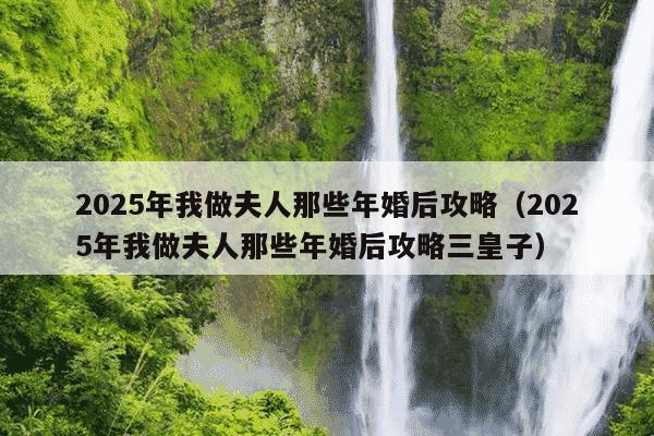 2025年我做夫人那些年婚后攻略（2025年我做夫人那些年婚后攻略三皇子）