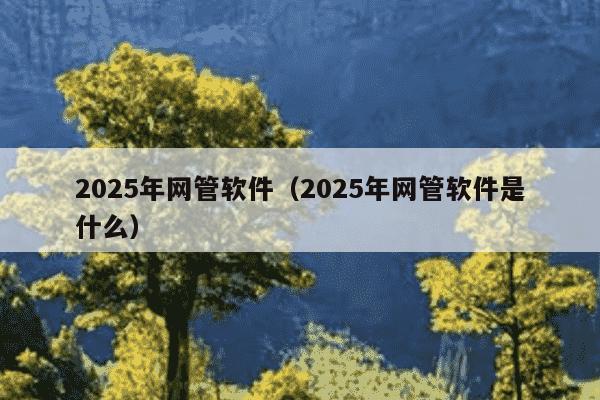 2025年网管软件(2025年网管软件是什么)