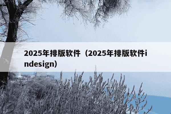 2025年排版软件（2025年排版软件indesign）