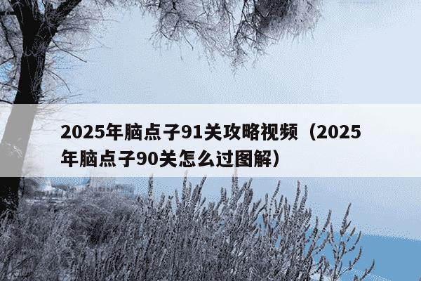 2025年脑点子91关攻略视频(2025年脑点子90关怎么过图解)