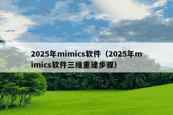 2025年mimics软件（2025年mimics软件三维重建步骤）