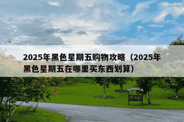 2025年黑色星期五购物攻略（2025年黑色星期五在哪里买东西划算）