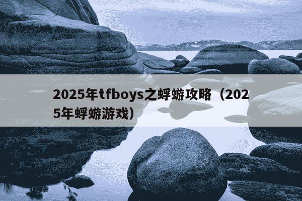 2025年tfboys之蜉蝣攻略（2025年蜉蝣游戏）