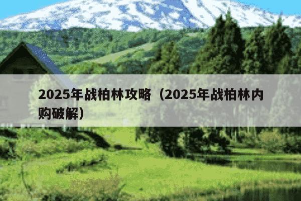 2025年战柏林攻略(2025年战柏林内购破解)