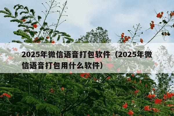2025年微信语音打包软件(2025年微信语音打包用什么软件)