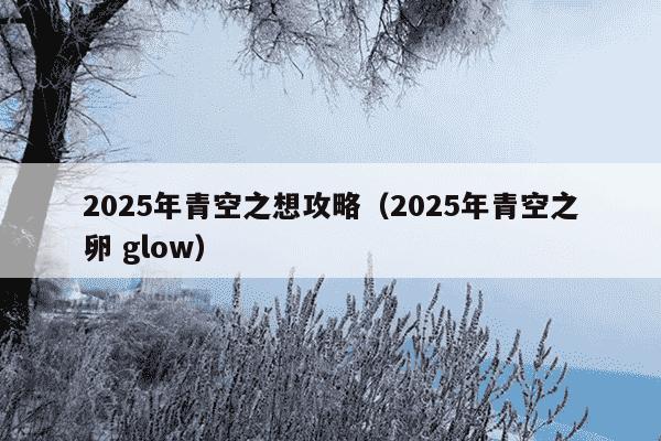 2025年青空之想攻略（2025年青空之卵 glow）