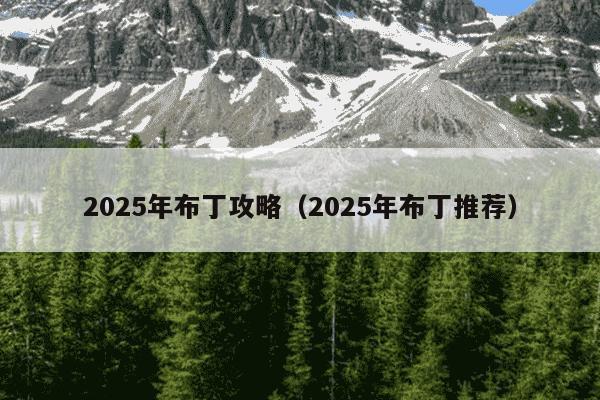 2025年布丁攻略(2025年布丁推荐)