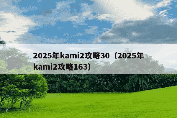 2025年kami2攻略30(2025年kami2攻略163)