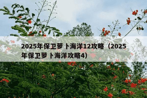 2025年保卫萝卜海洋12攻略（2025年保卫萝卜海洋攻略4）