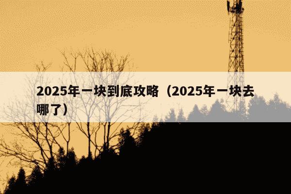 2025年一块到底攻略(2025年一块去哪了)