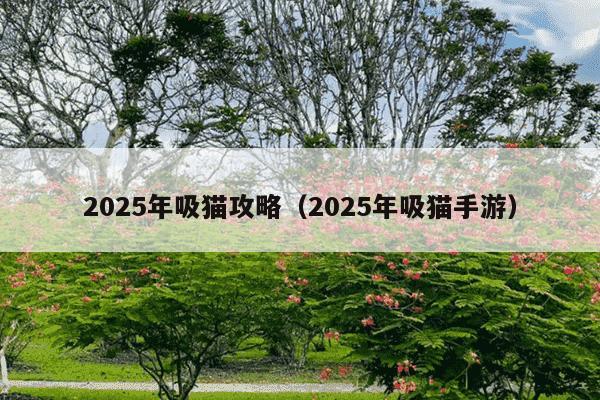 2025年吸猫攻略（2025年吸猫手游）