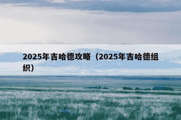 2025年吉哈德攻略（2025年吉哈德组织）