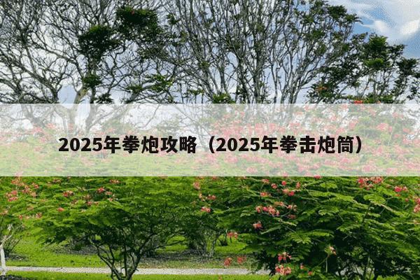 2025年拳炮攻略（2025年拳击炮筒）
