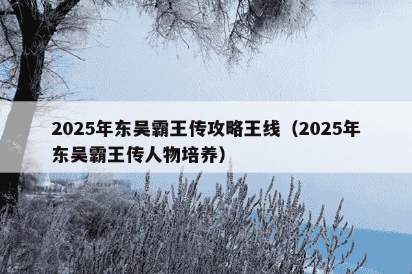 2025年东吴霸王传攻略王线（2025年东吴霸王传人物培养）