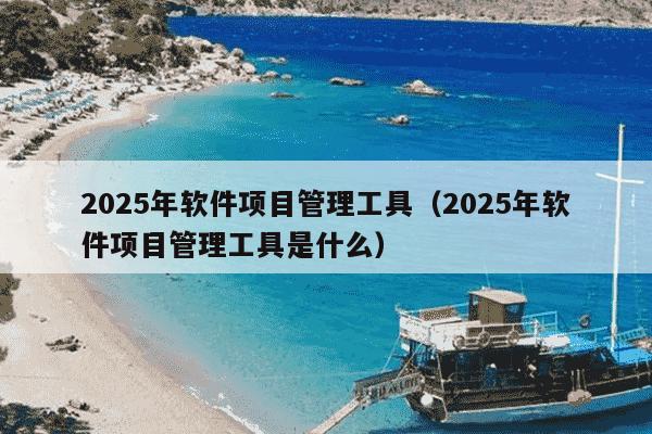 2025年软件项目管理工具（2025年软件项目管理工具是什么）