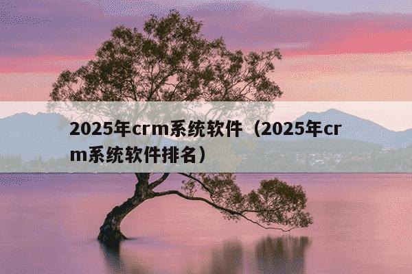2025年crm系统软件（2025年crm系统软件排名）