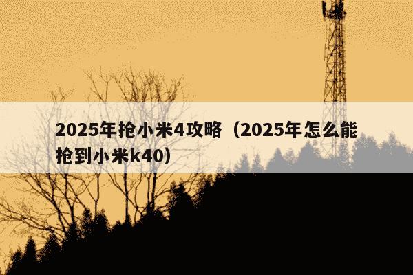 2025年抢小米4攻略（2025年怎么能抢到小米k40）