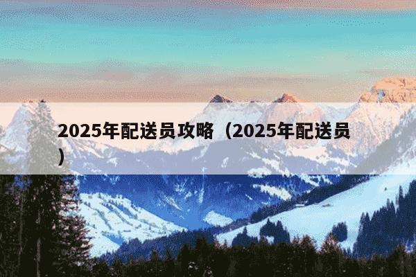 2025年配送员攻略（2025年配送员 ）