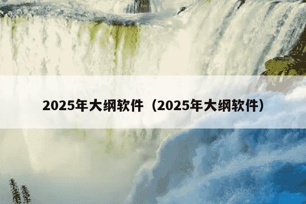 2025年大纲软件(2025年大纲软件)