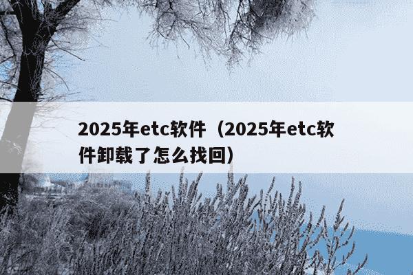 2025年etc软件(2025年etc软件卸载了怎么找回)