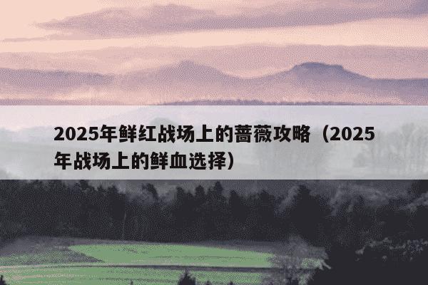 2025年鲜红战场上的蔷薇攻略(2025年战场上的鲜血选择)