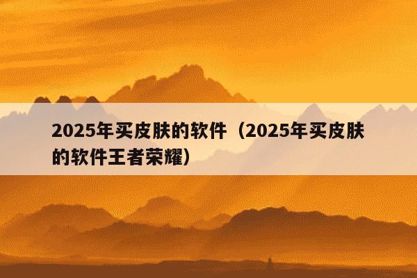 2025年买皮肤的软件(2025年买皮肤的软件王者荣耀)