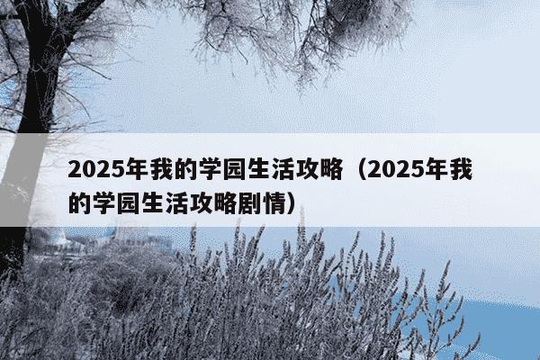 2025年我的学园生活攻略(2025年我的学园生活攻略剧情)