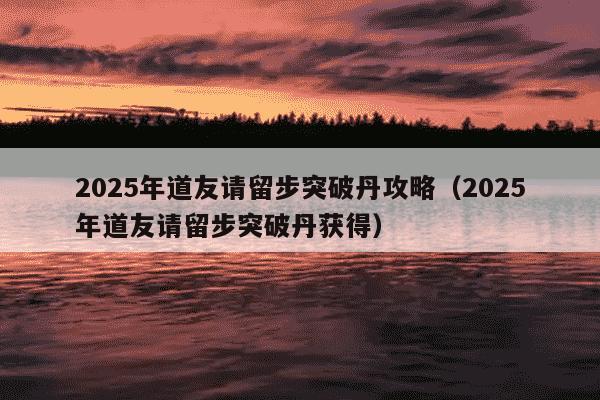 2025年道友请留步突破丹攻略(2025年道友请留步突破丹获得)