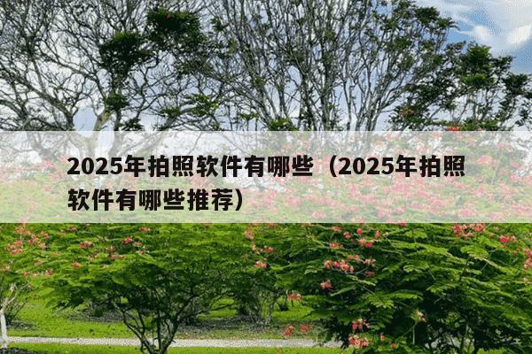 2025年拍照软件有哪些（2025年拍照软件有哪些推荐）