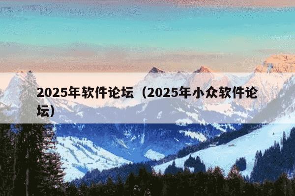 2025年软件论坛（2025年小众软件论坛）