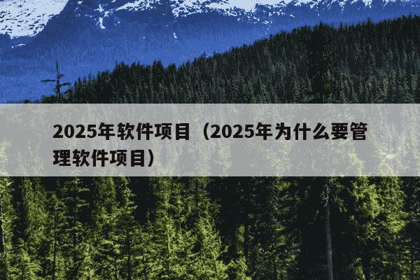 2025年软件项目（2025年为什么要管理软件项目）