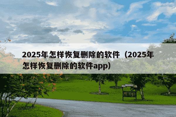 2025年怎样恢复删除的软件(2025年怎样恢复删除的软件app)