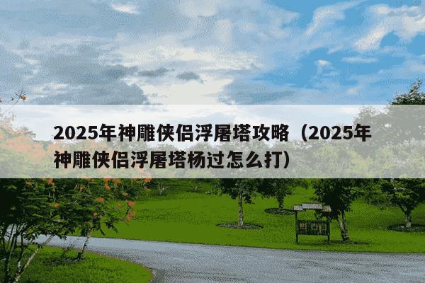2025年神雕侠侣浮屠塔攻略(2025年神雕侠侣浮屠塔杨过怎么打)
